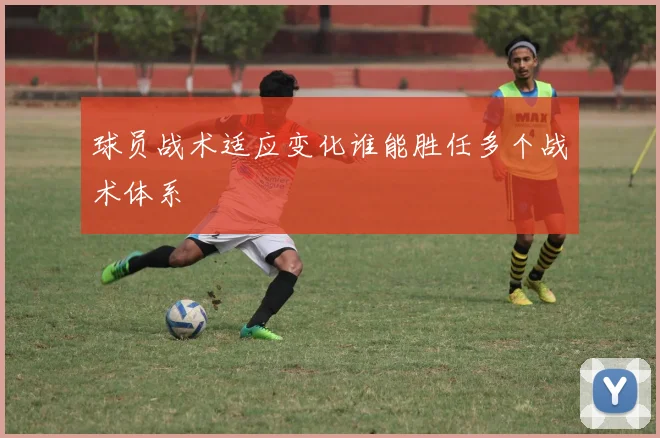 球员战术适应变化谁能胜任多个战术体系